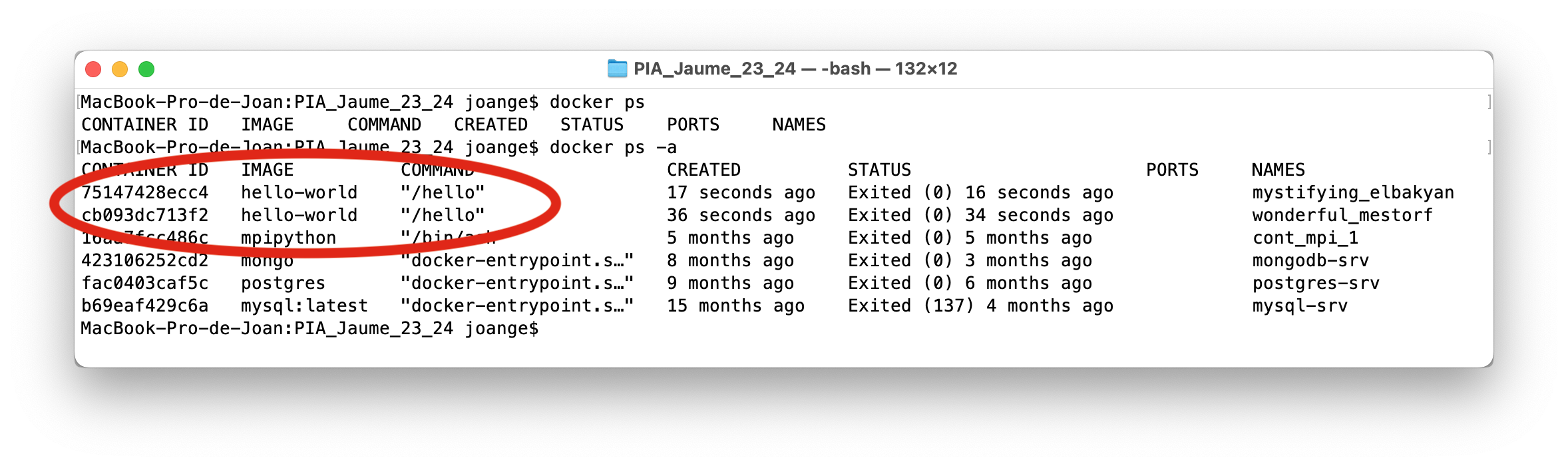 Docker